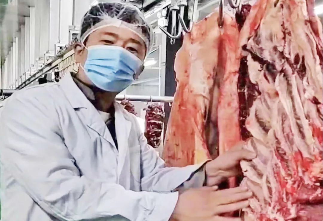 我们的新时代·梦想丨在辽阔的绿色大地上追逐梦想——五位呼伦贝尔青年的创业故事