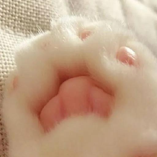 高清壁纸全面屏手机,围棋壁纸高清全面屏