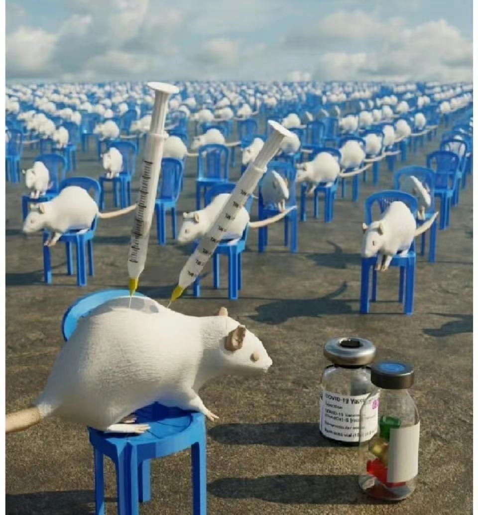 他泰颜值一姐情商这么低？频频迷惑发言引发争议，如今脸也崩了？