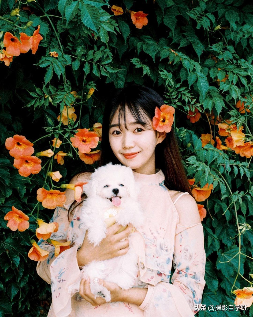 盘点拍照最好看的姿势,很好看的拍照姿势加教程