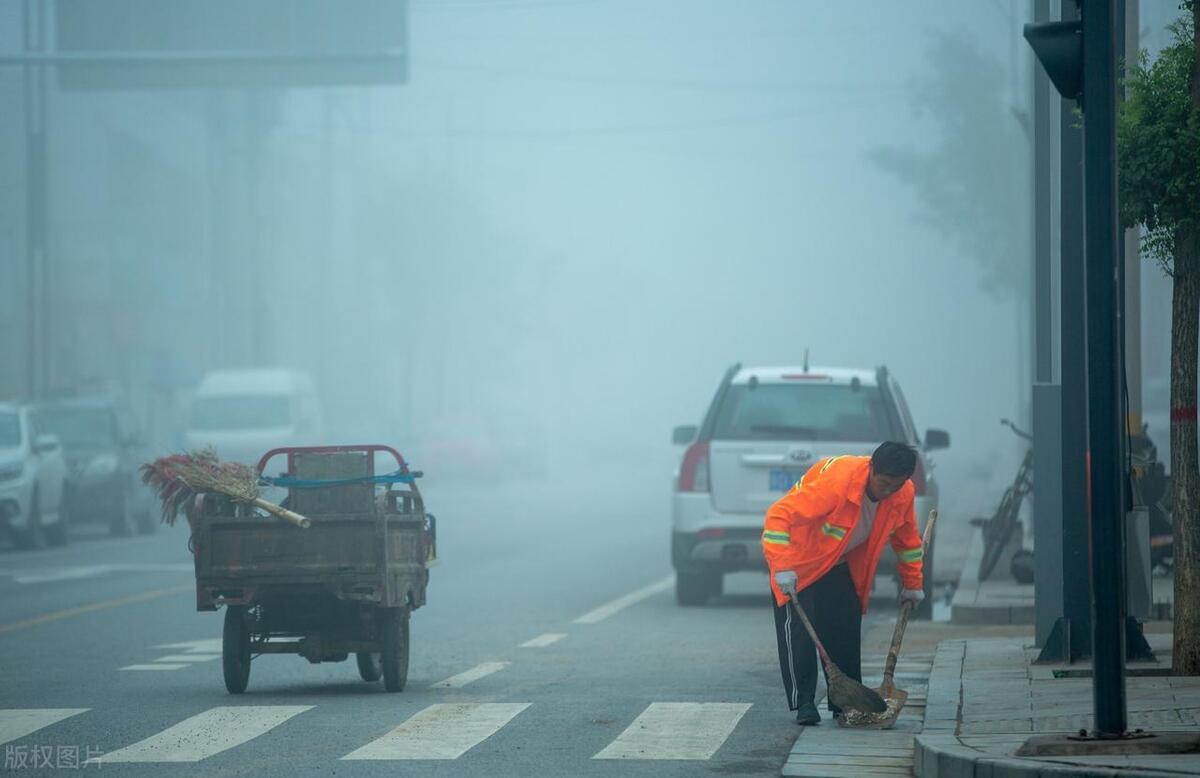 大狗围保洁阿姨后续,大狗纠缠保洁阿姨后续