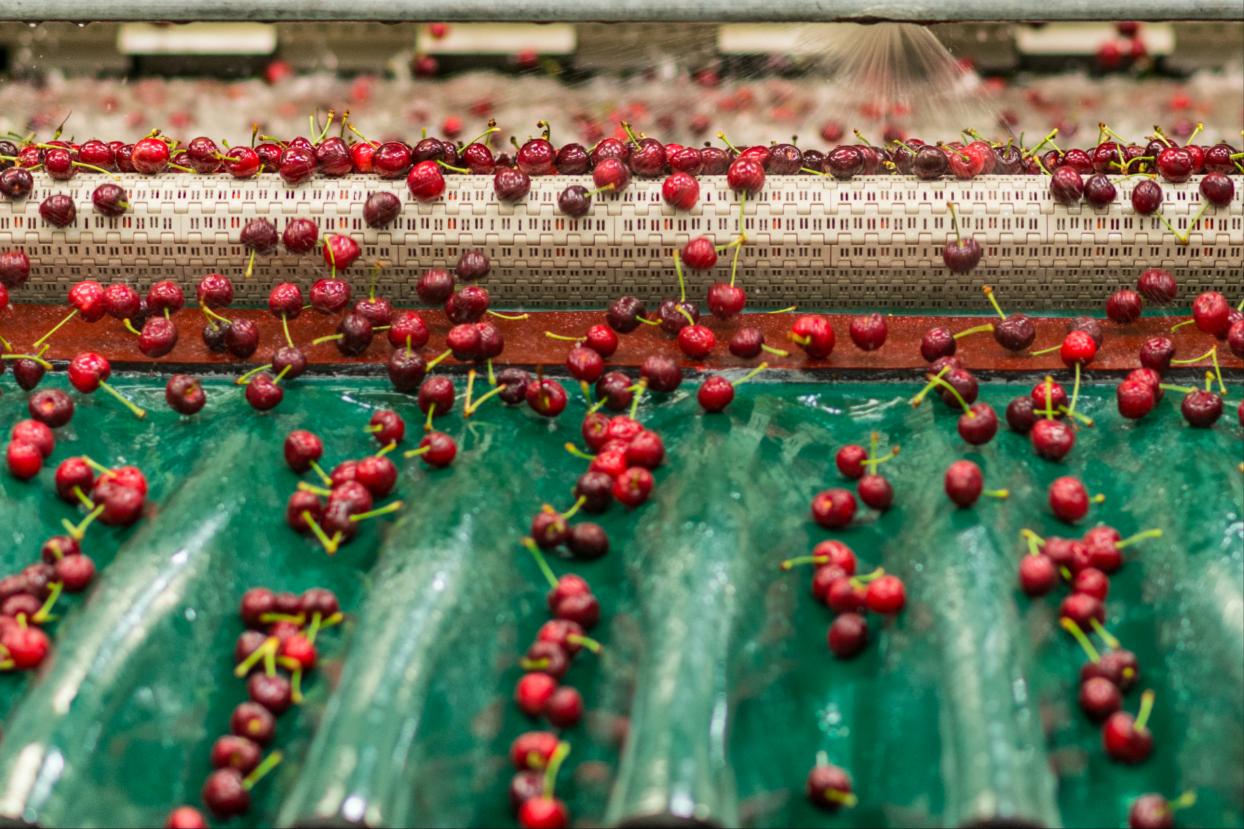 澳大利亚速冻水果,澳大利亚冷冻水果