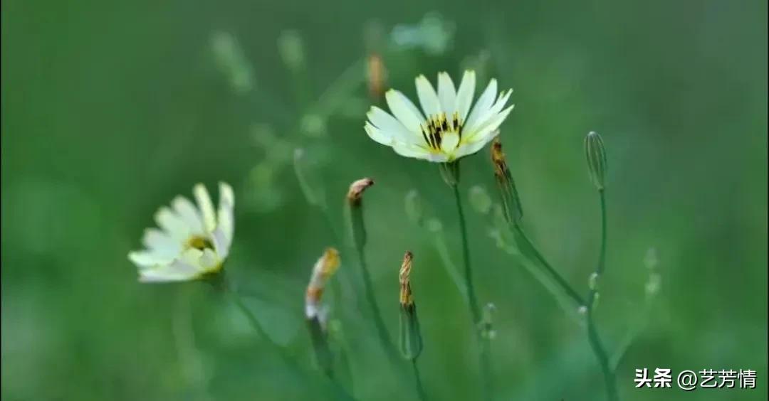 三分野:剩一分它，留给那个值得的人