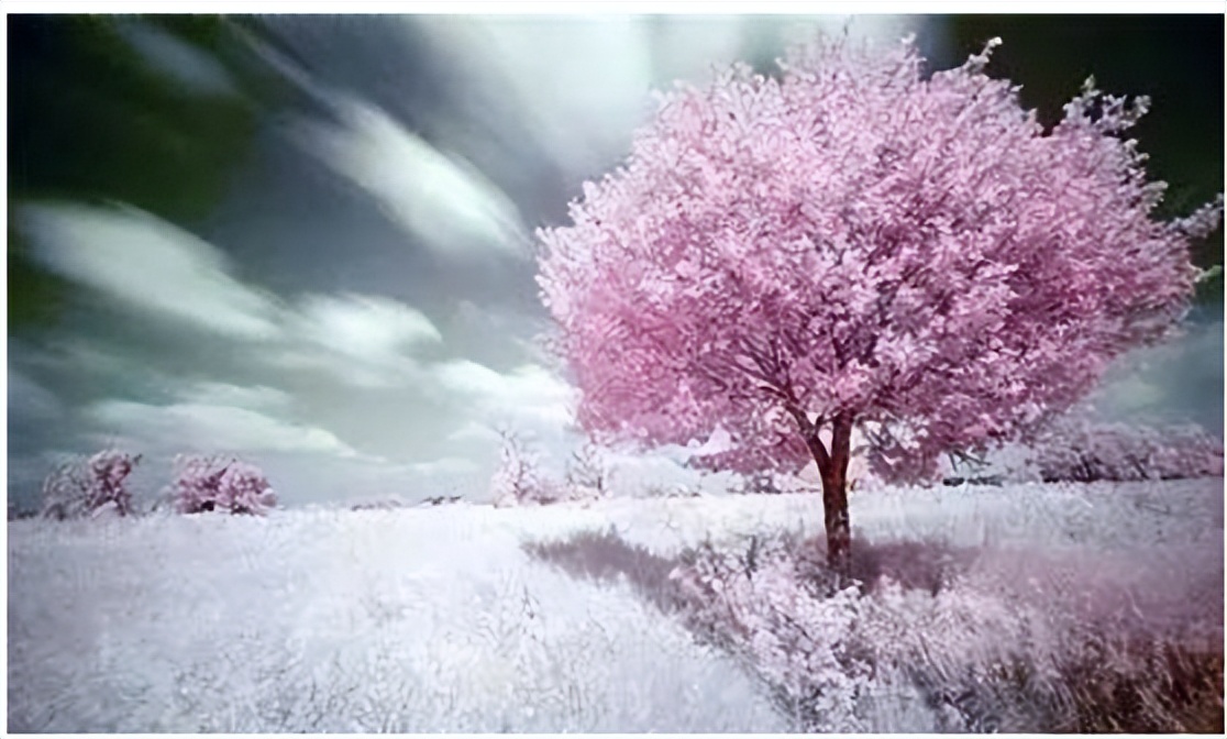 散文诗：诗情画意『2022年的春天（外二首）』