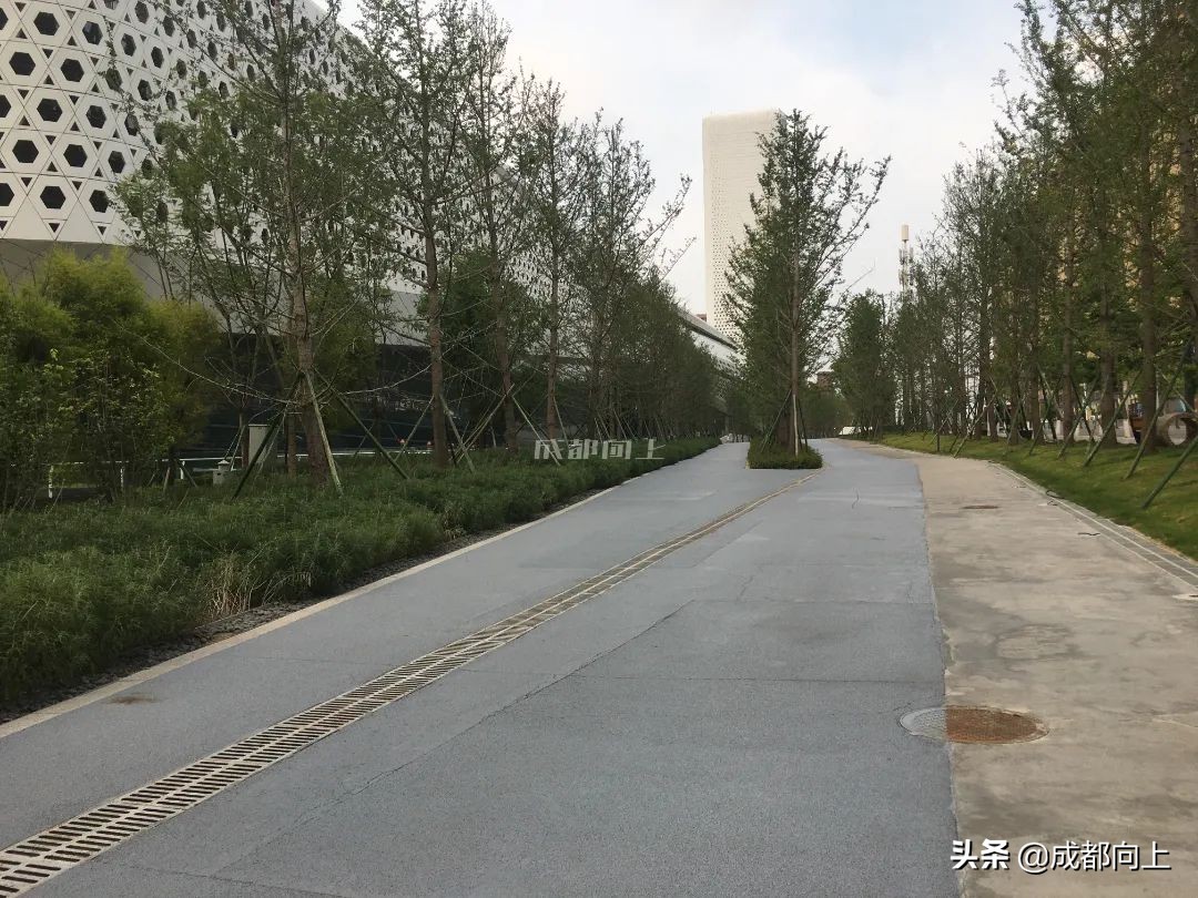 被吹爆的成都国际城南，居然没有拿得出手的体育场馆？