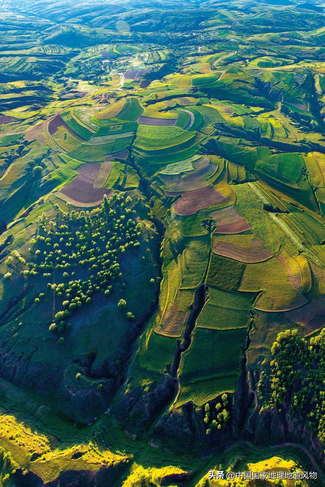 内蒙古东西差异有多大,你以为的内蒙古和现实中的内蒙古