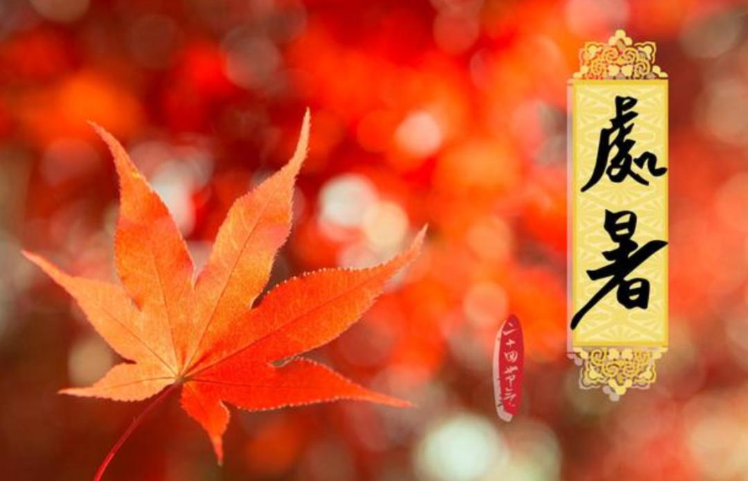 处暑可以喝蜂蜜水吗,处暑养生保健谨记4条