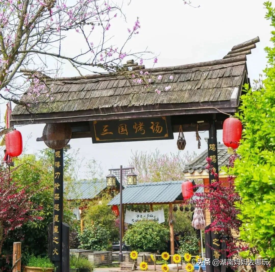 长沙周边乡村美出新花样！非洲“小小国”、网红鱼鳞坝，每一个都超想去