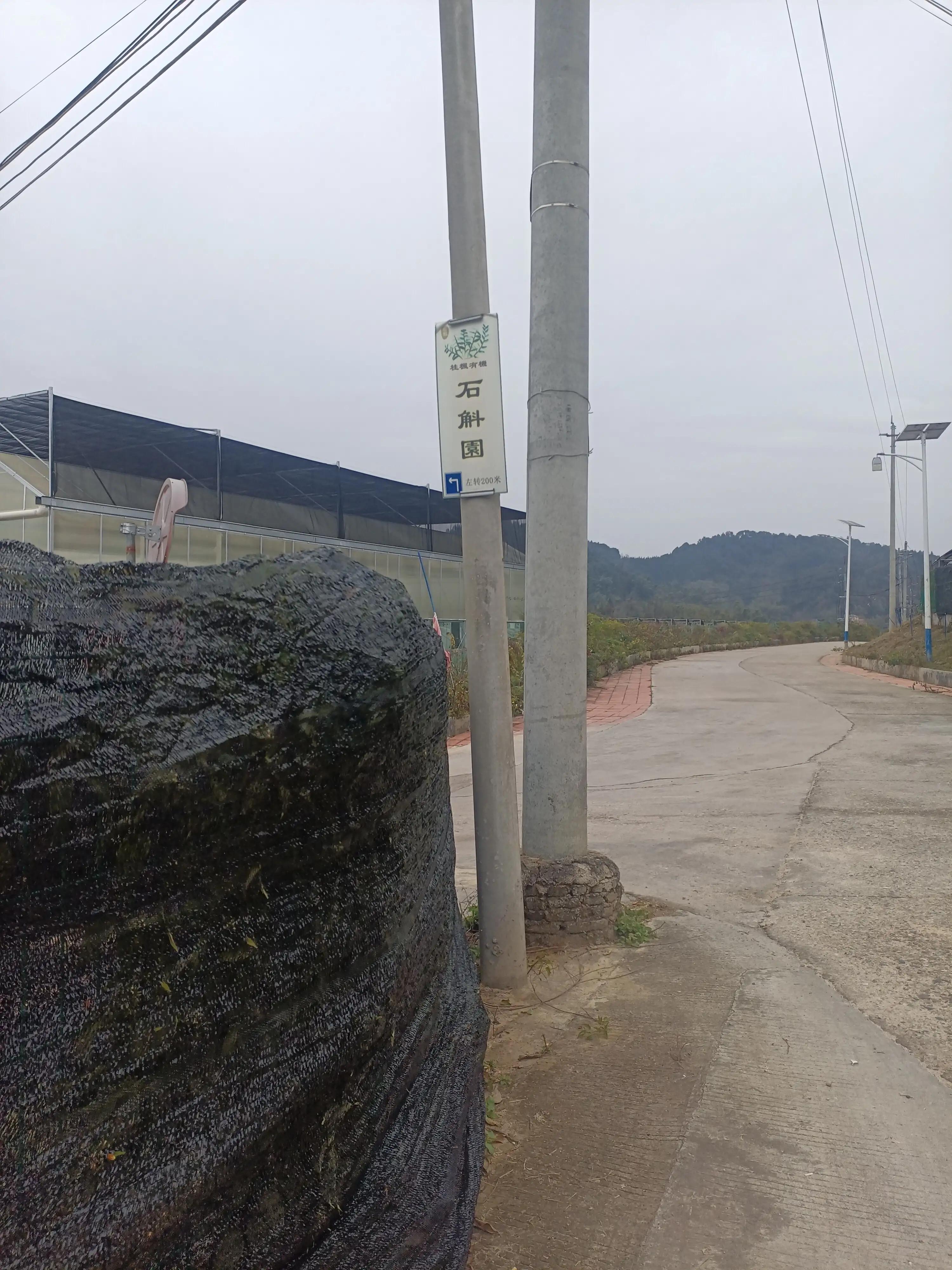 从化小杉村怎么去,从化小杉村自驾游攻略