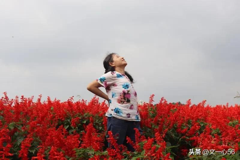 化疗的副作用和并发症,动脉化疗和静脉化疗副作用