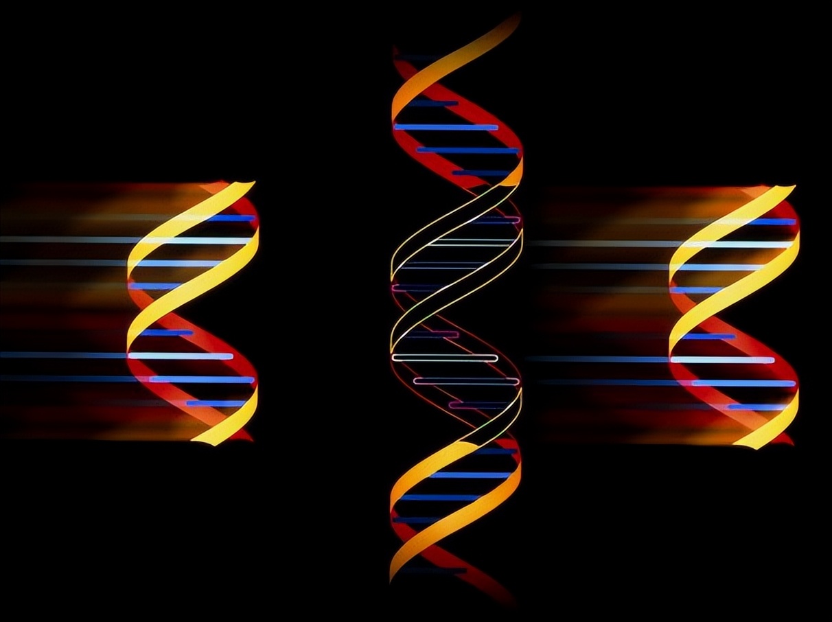 什么是基因工程菌,什么是基因工程的载体