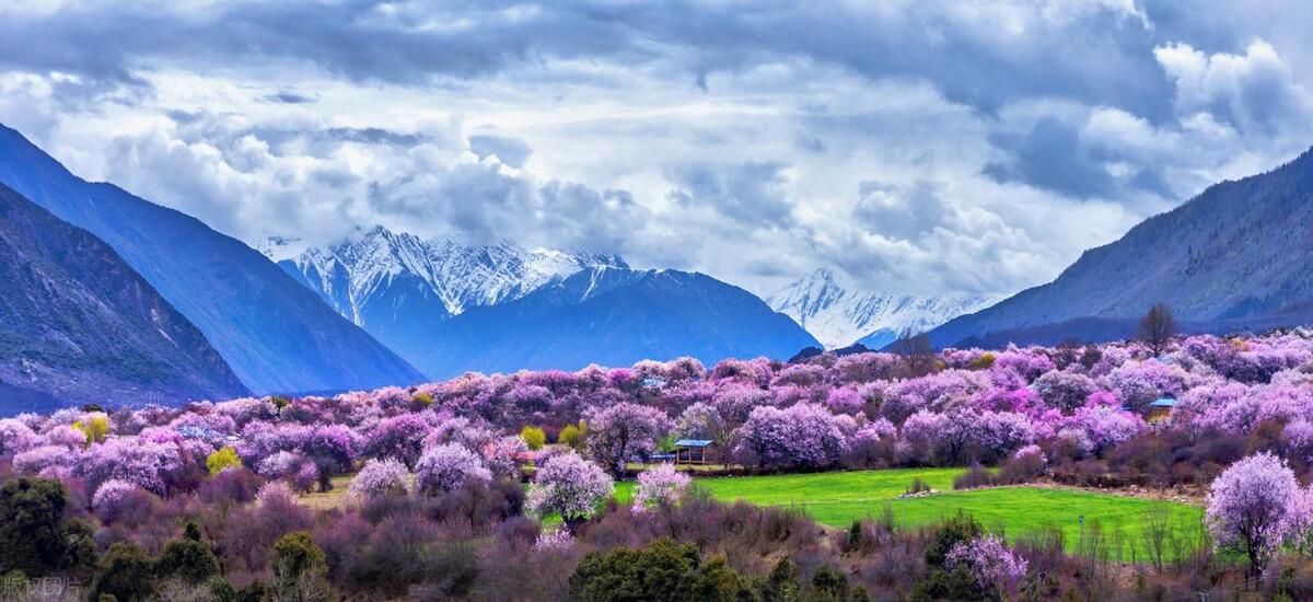 男女暧昧的具体行为有哪些,男女之间哪些行为可以断定是暧昧