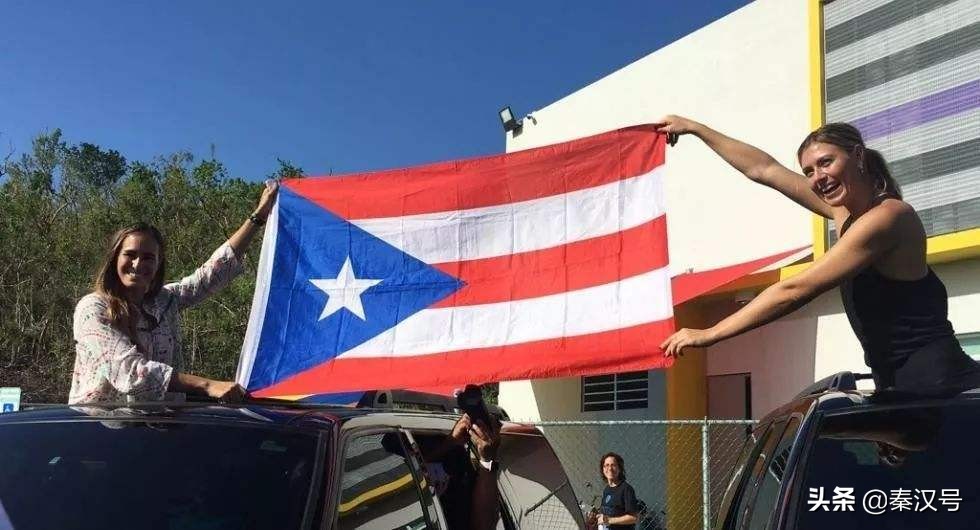 收下我的膝盖原谅我的伤害,波多黎各薅羊毛