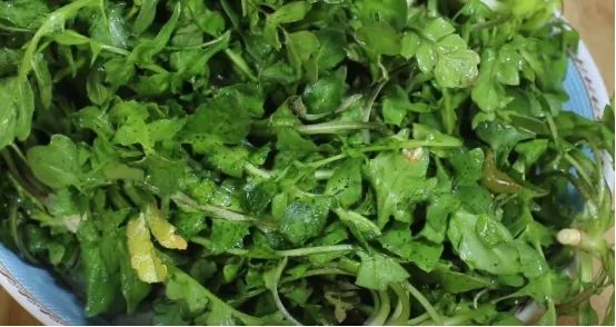 荠菜怎么储存才能吃得时间久,荠菜怎么存放比较好吃