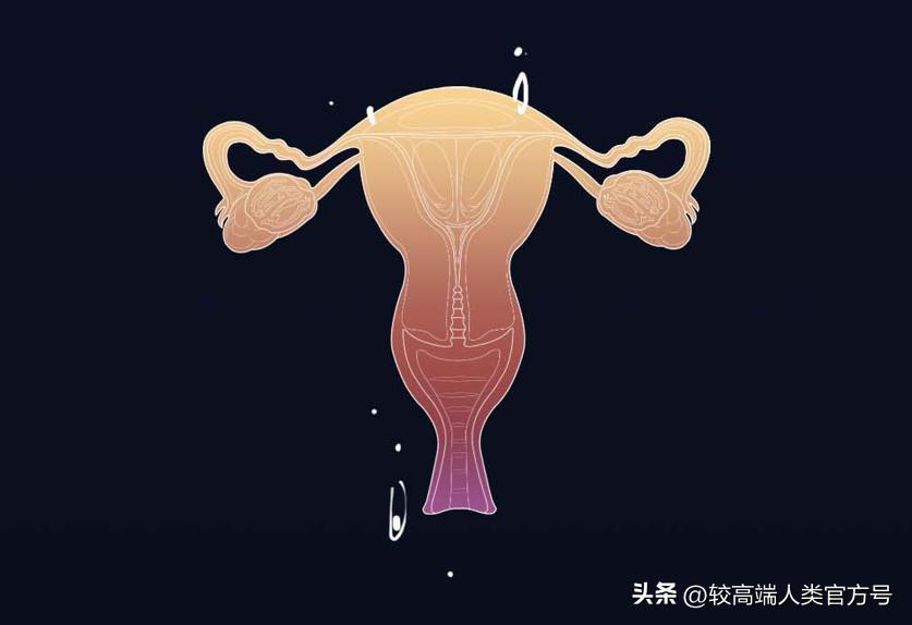 十大顶级智商税产品排行榜,空气净化器是不是智商税产品