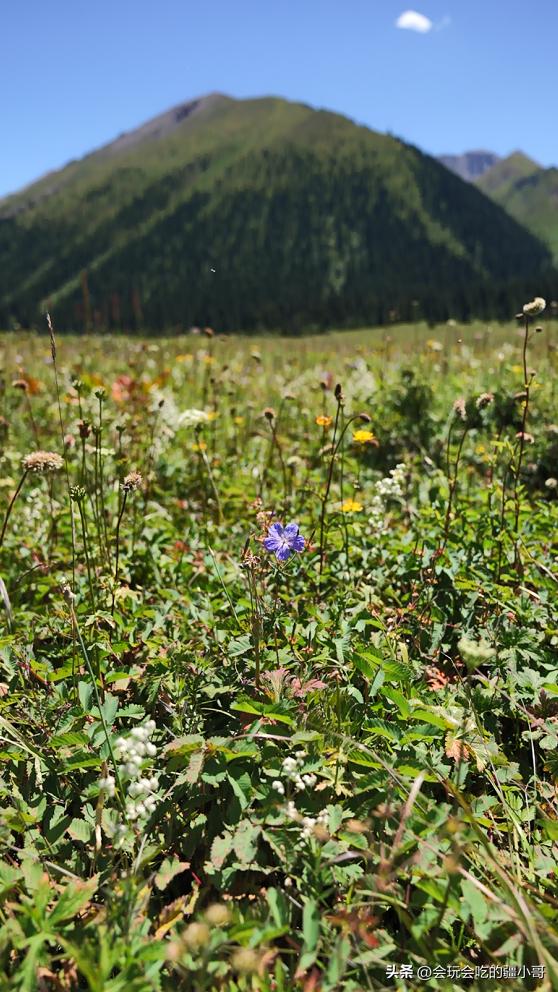 从新疆出发内地旅游省钱攻略,从新疆去内地旅游首选哪个城市