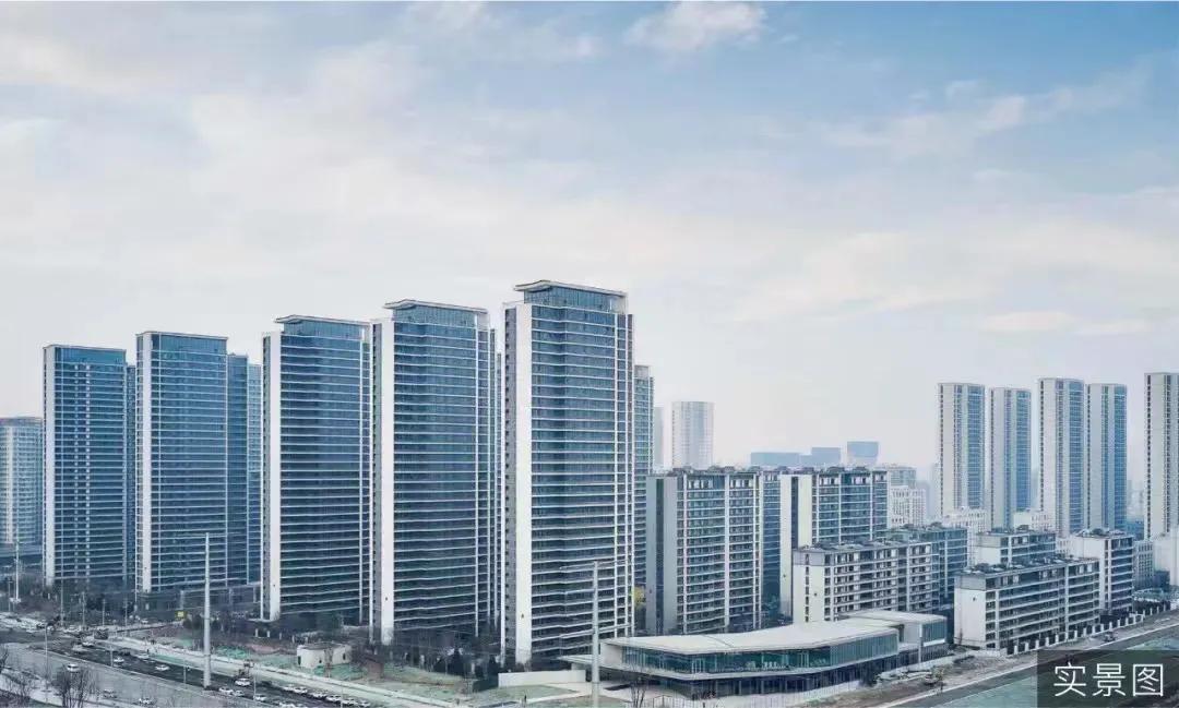 绿城的运动,绿城运动