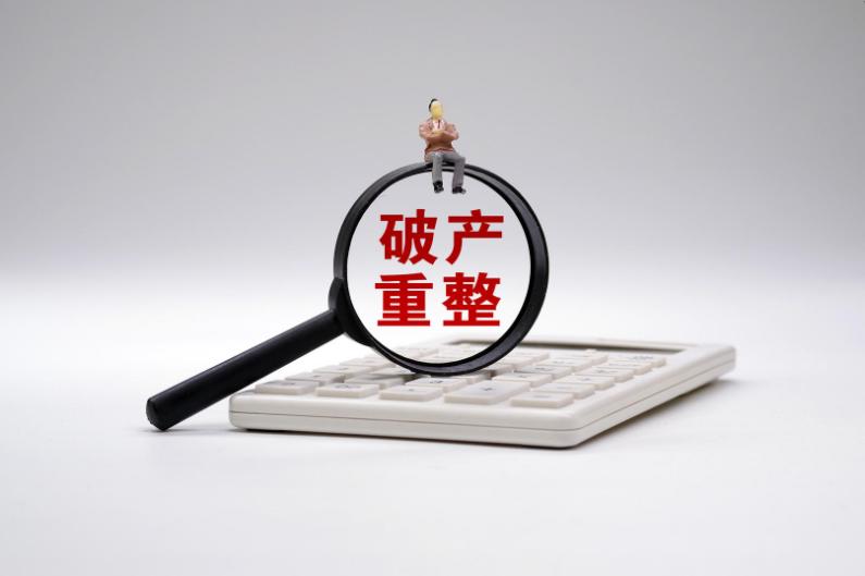 中国500强企业亏损前十名,中国民营企业500强榜单隆鑫