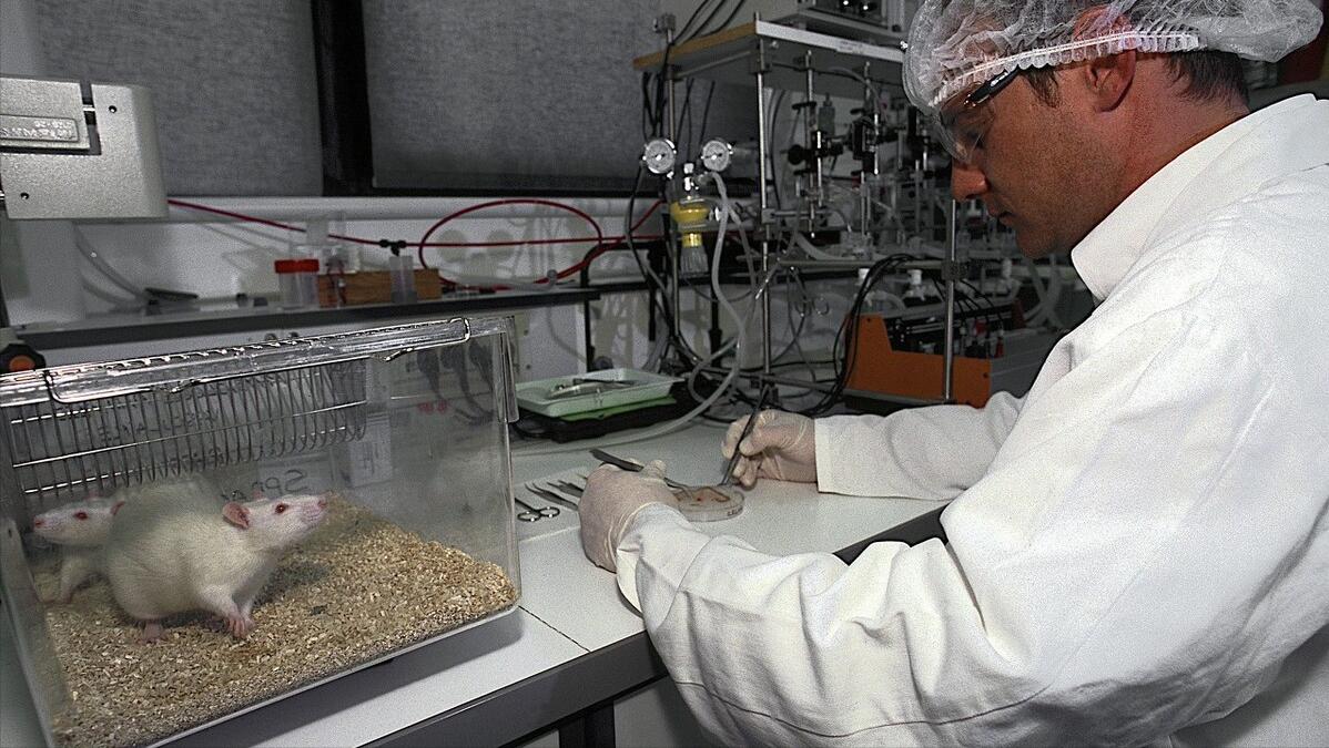 为什么高尿酸不建议吃非布司他,尿酸高伤害哪些内脏