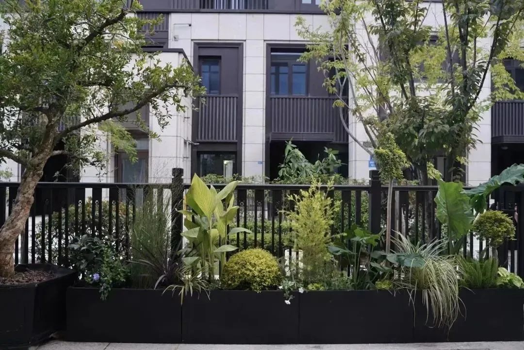 无锡两个爱花的小姐姐，开了家“宝藏”花店，对接奢侈品牌，业绩步步攀升