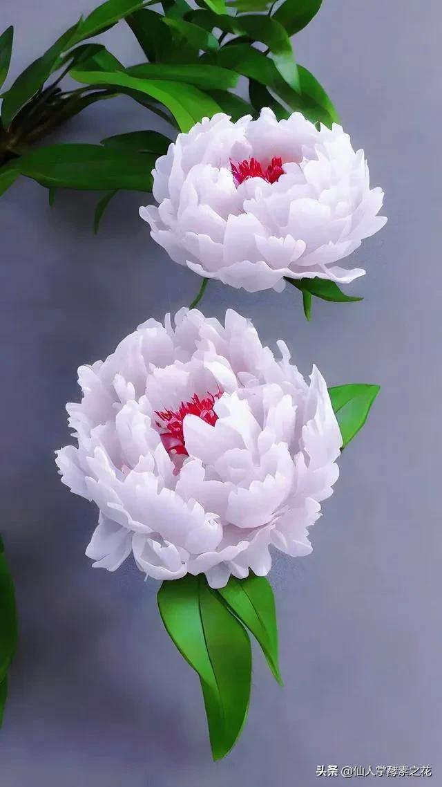 生日是父母给你买礼物吗,过生日怎么让你父母给你买礼物