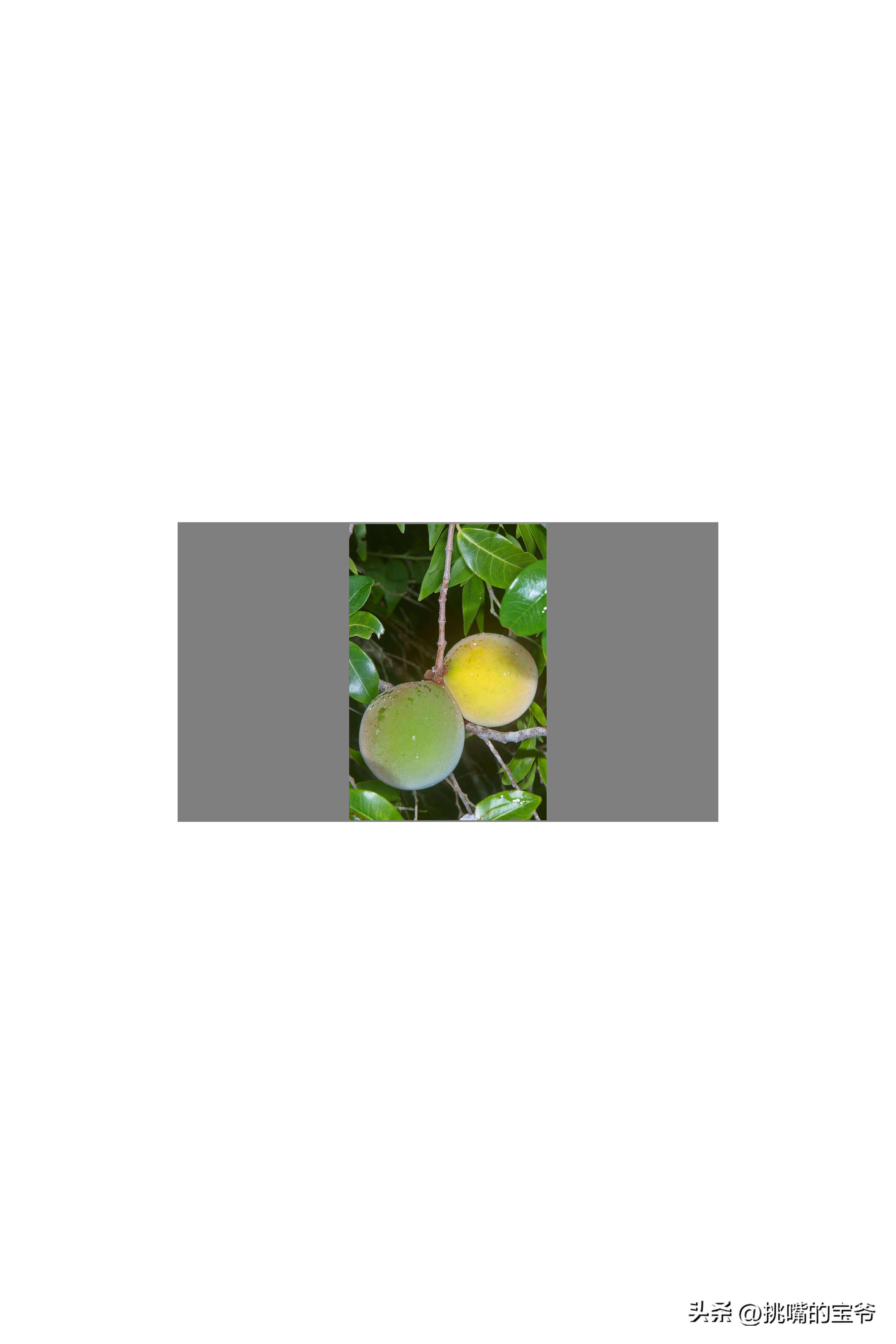 坐拥10亿亩耕地，被誉为非洲心脏的非洲第二大国，8种奇珍异果