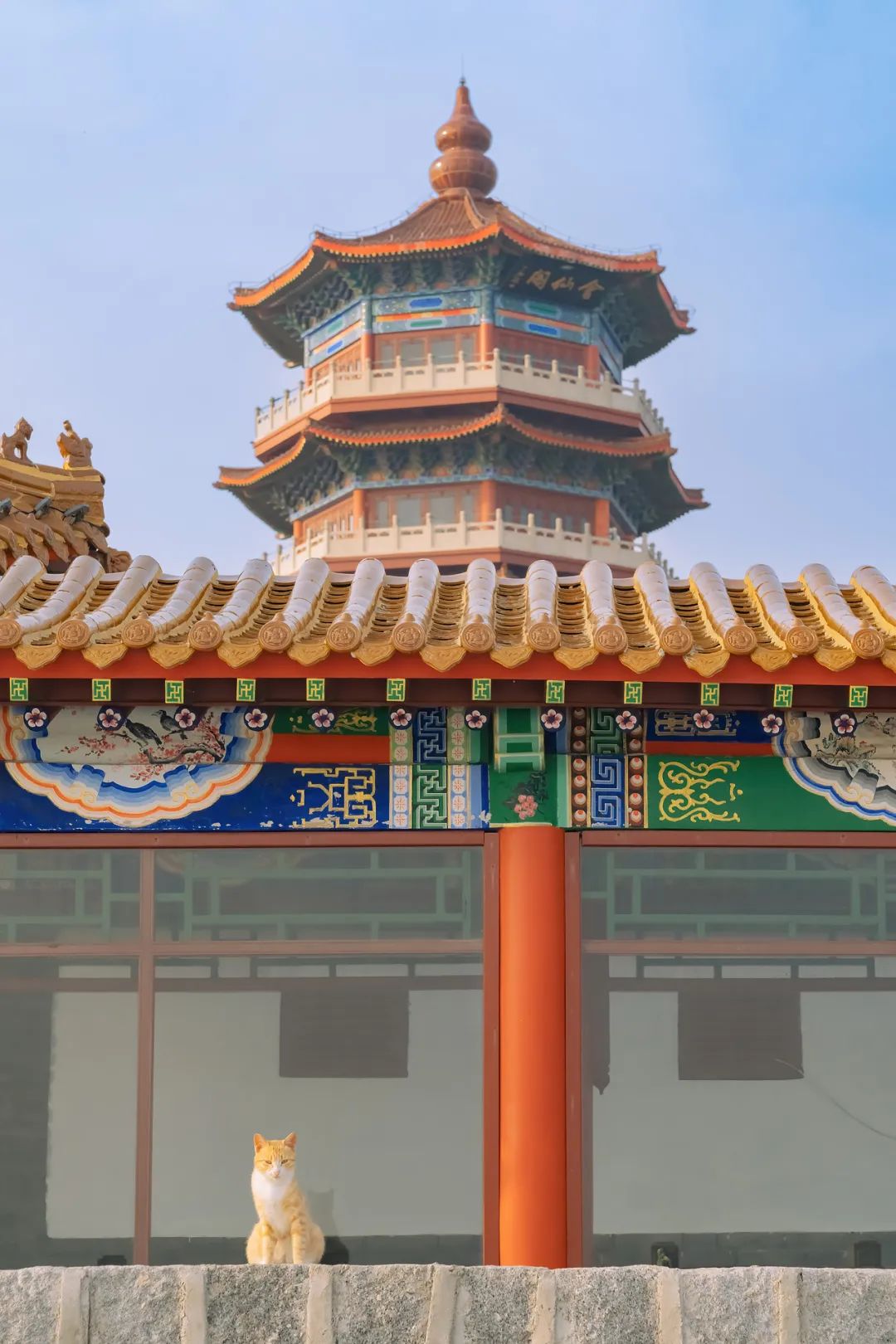 八仙过海各显神通鼠来宝,八仙过海狸猫