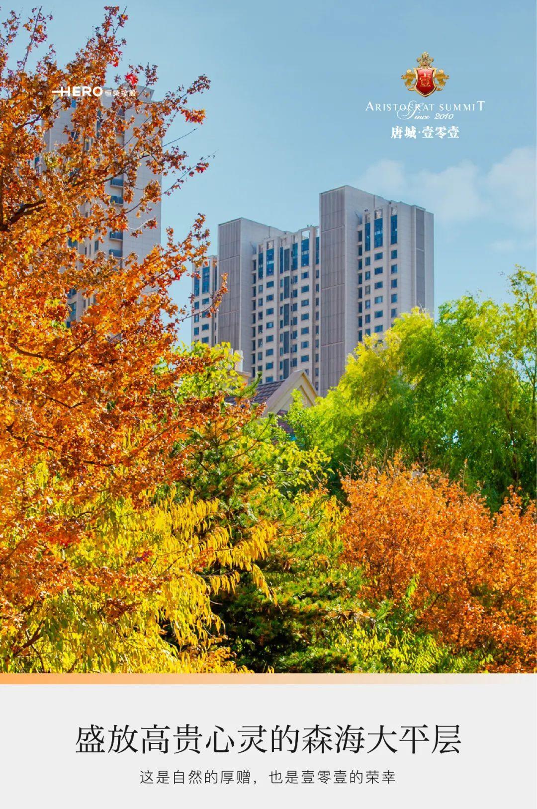 行业界的大佬交流会,业界精英莅临公司参观