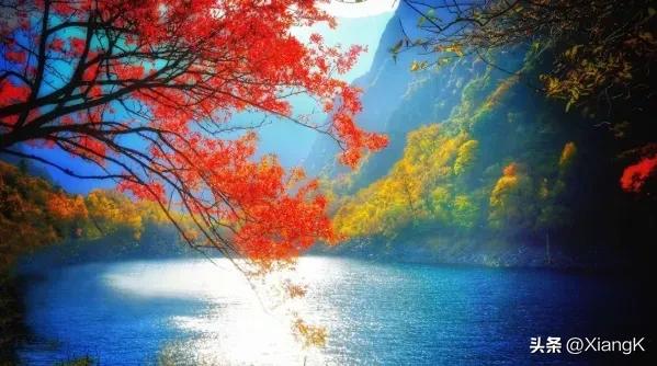 曲高和寡成语的意思是什么,和曲高和寡相似的成语