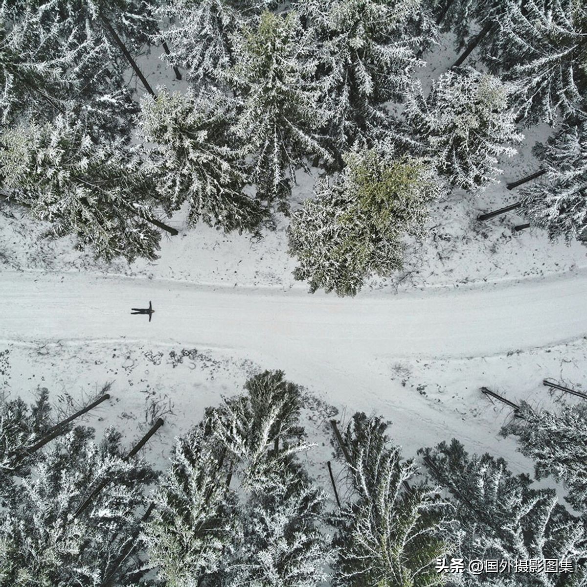 世界顶级唯美人像摄影师,世界顶级自然摄影师作品