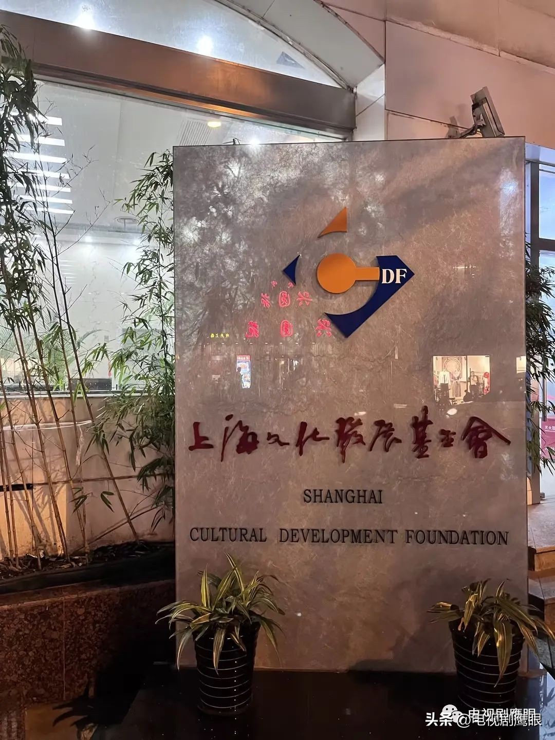 以下剧集/电影获官方基金会资助（2023Q1）