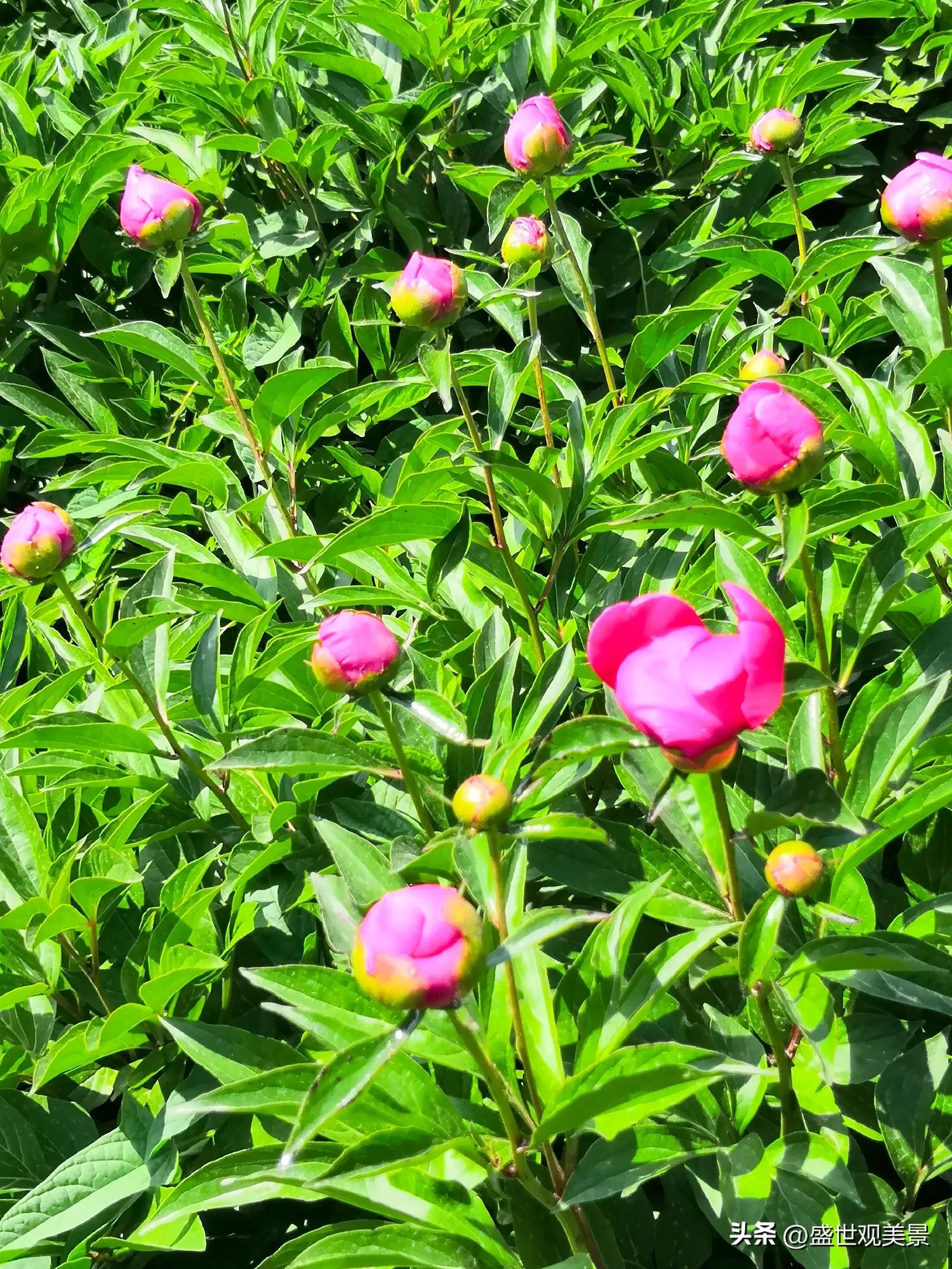 怎样找到头条的流量密码,头条原创文章怎么加推荐量