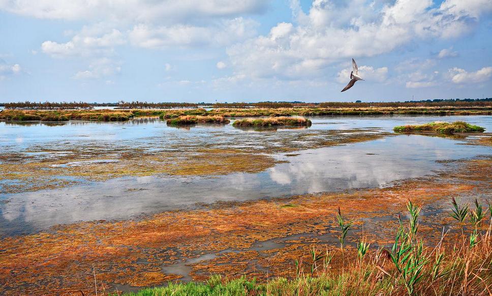 三角洲是侵蚀地貌还是沉积地貌,三角洲的演变视频