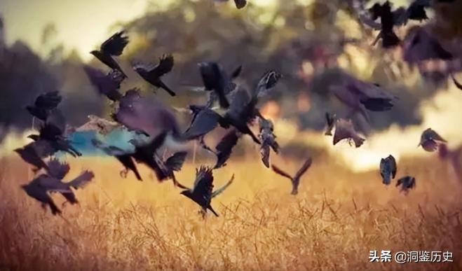 孔子墓葬的传说,孔子墓葬全过程