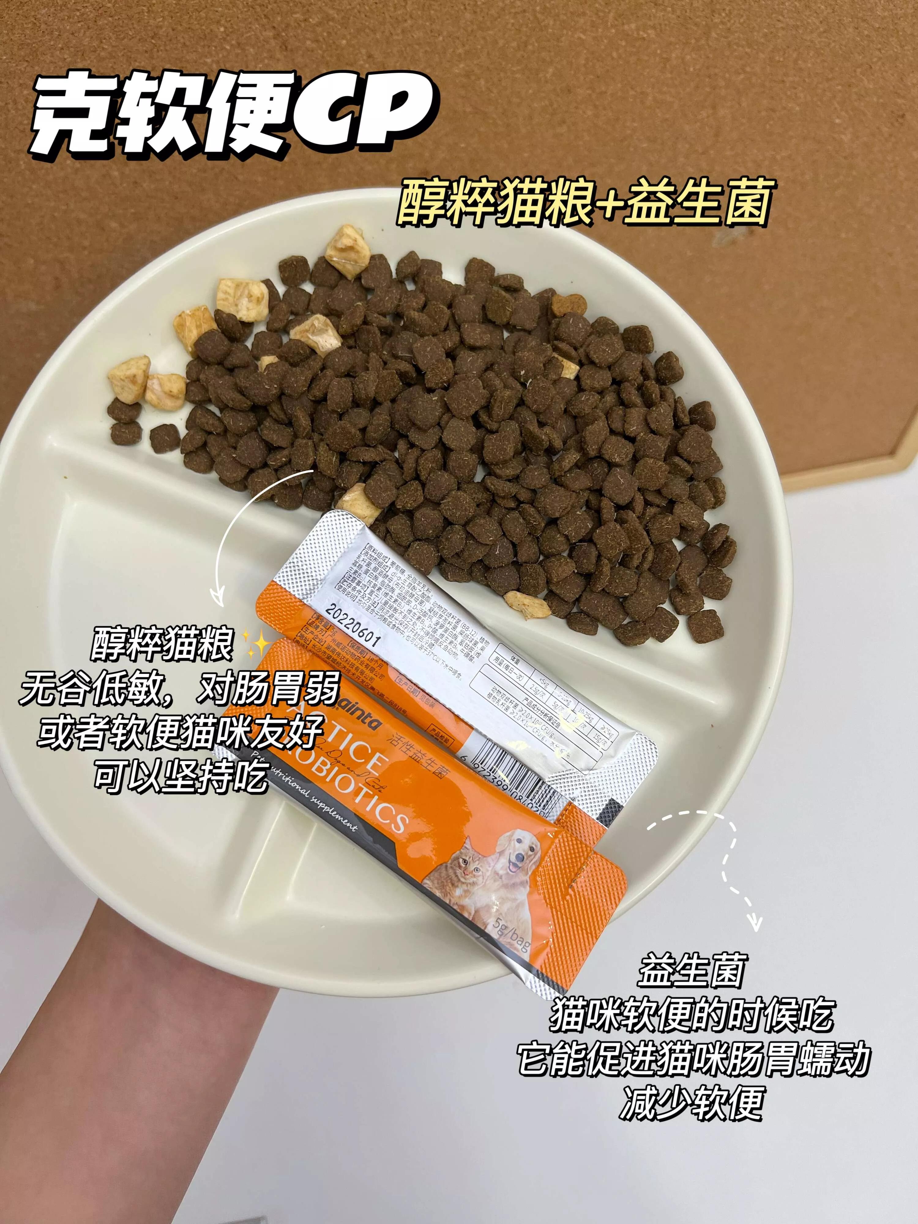 拒绝猫粮当主食,新手养猫指南猫粮应该怎么选