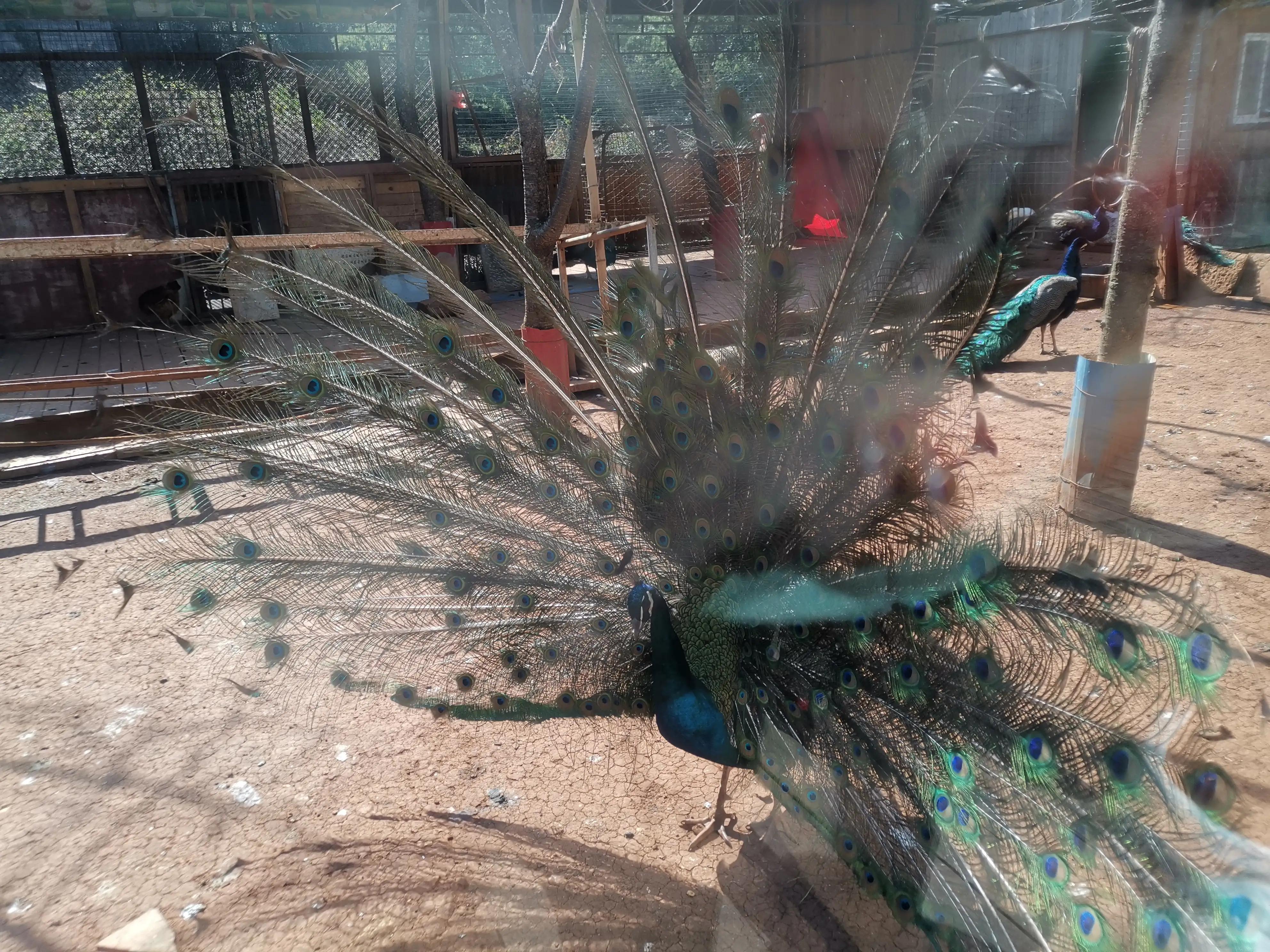 昆明周边青龙峡,昆明青龙峡温泉