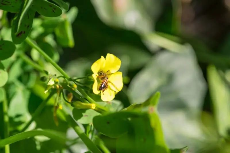 宾得新款16-50评测,宾得镜头18-135样片测评