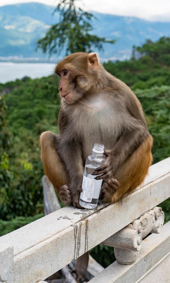 四川凉山最险要的地方,四川凉山最好的地方