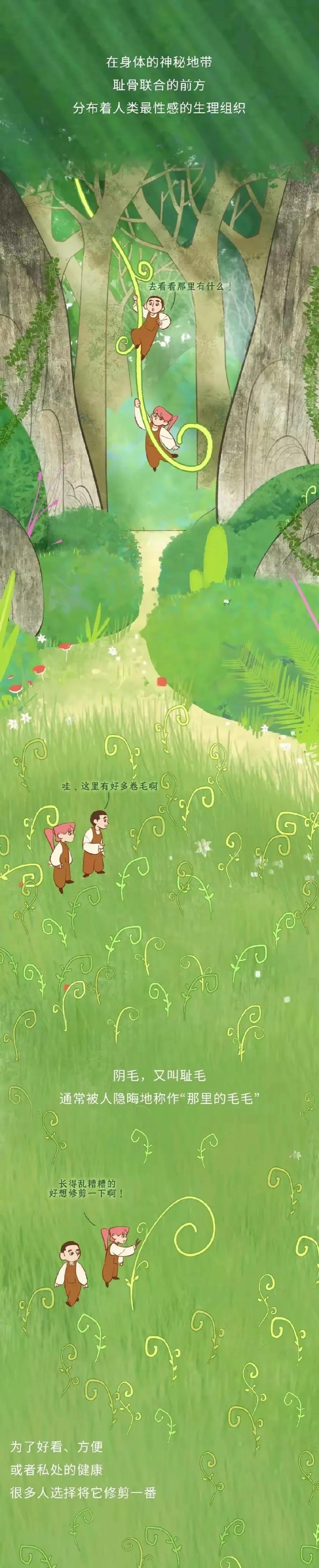 人类阴毛从初生到脱落的全过程，中间都会出现哪些变化？好神奇