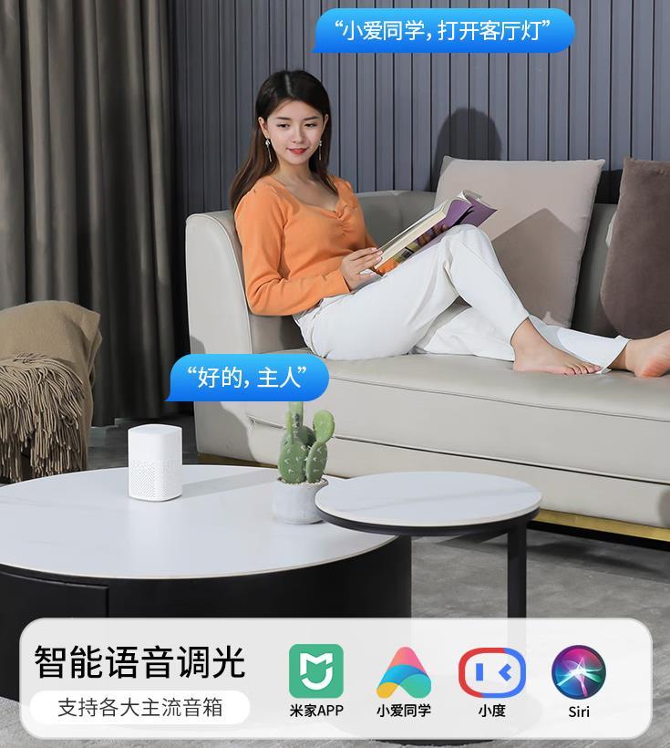 灯具品牌排行前十名都有哪些牌子,排名前十的灯具都有哪些品牌