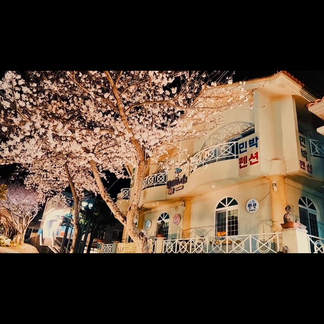 去韩国的济州岛是免签了吗,韩国济州岛免签打工