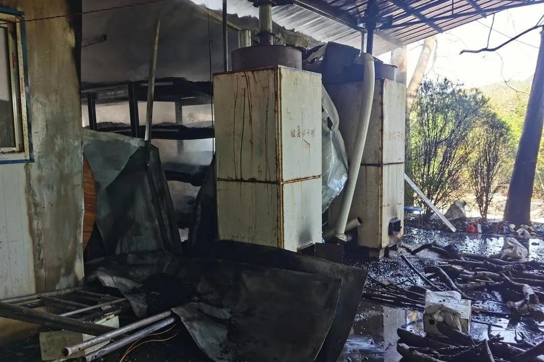 烤箱烤土特产,自己做的土特产非常好吃