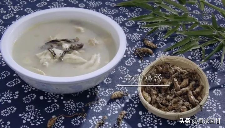 金鸡鲍鱼汤,滋补养生老鹅炖牛鞭