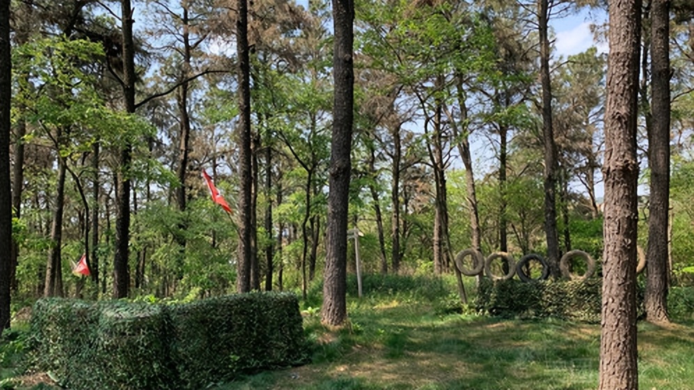 苏州美团人气排行榜,美团餐饮人气榜