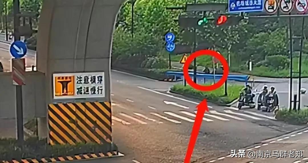 杭州绿化带,浙江杭州500万的绿化带