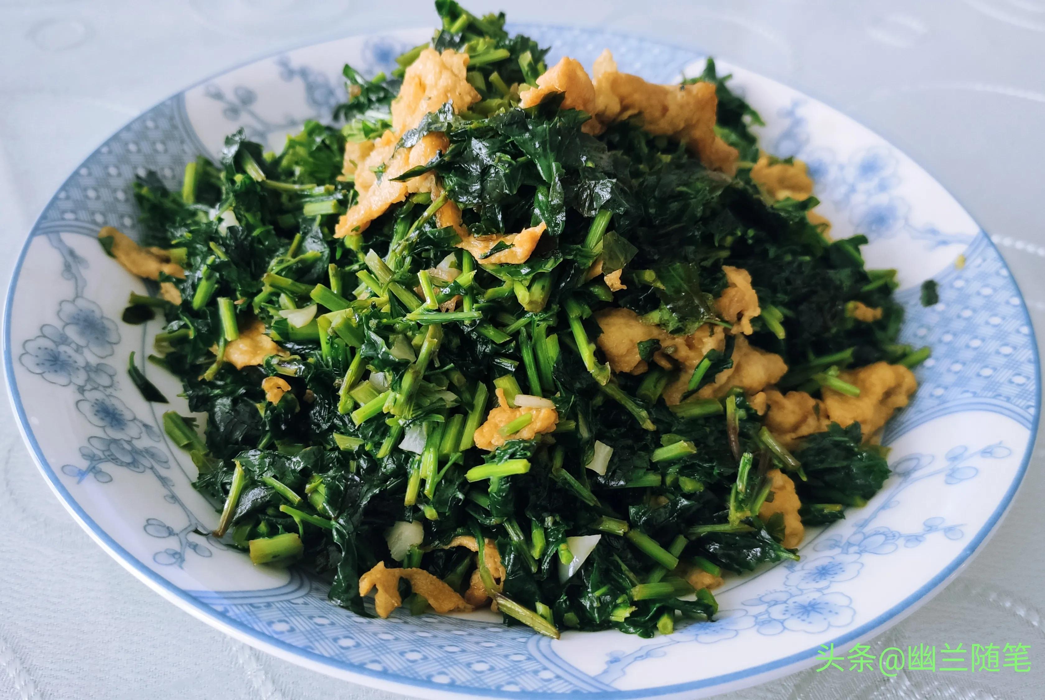 枸杞头芽苗菜,枸杞芽野菜