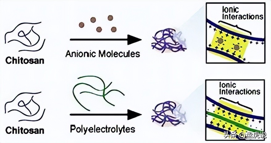 壳聚糖吸附铜离子,壳聚糖水凝胶吸附重金属