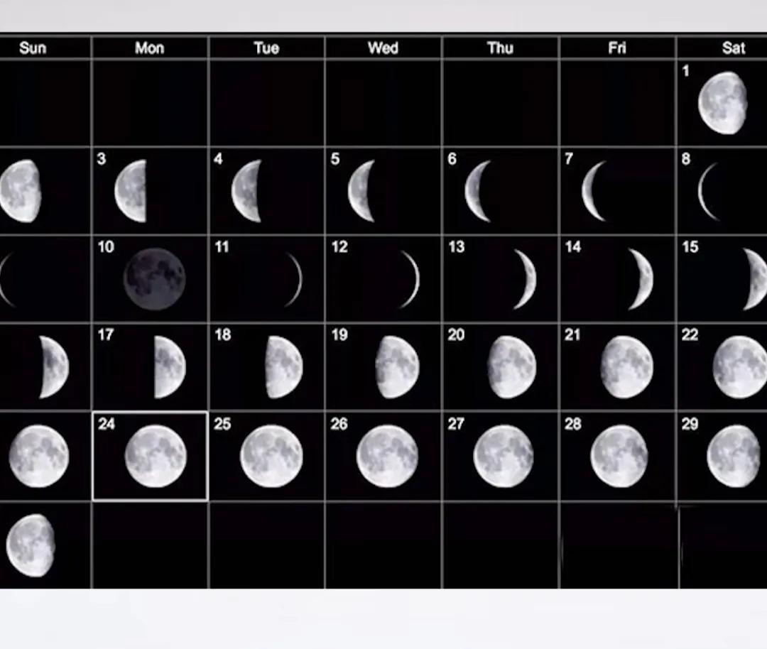 公历和农历分别是阳历还是阴历,公历农历阴历阳历怎么区分