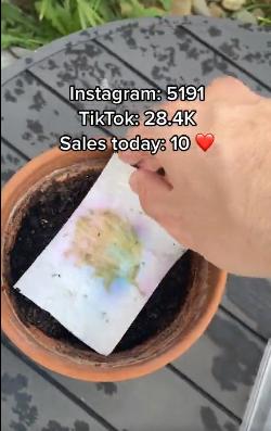 继种植铅笔大火后，可种植贺卡也来TikTok“蹭热度”了？