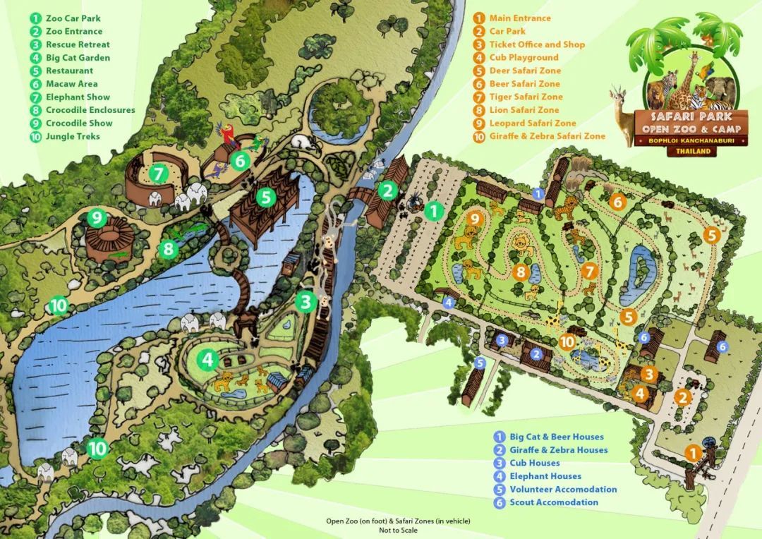 泰国曼谷旅游必去十大景区,泰国野生动物园亲子游